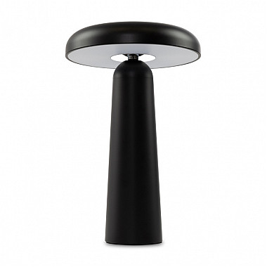 Интерьерная настольная лампа Mushroom FR6109TL-L4B