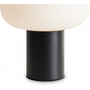 Интерьерная настольная лампа Take FR6175TL-L10B