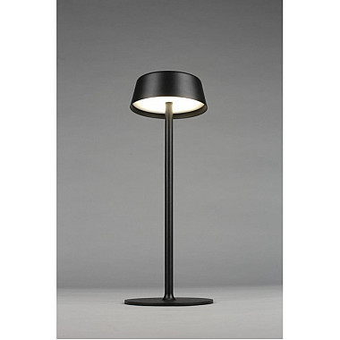 Интерьерная настольная лампа OML-40504-01