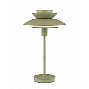 Интерьерная настольная лампа Shaggy V11296-1T