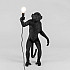 Интерьерная настольная лампа Monkey Lamp 14920