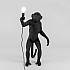 Интерьерная настольная лампа Monkey Lamp 14920