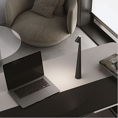 Интерьерная настольная лампа Elite TL70250