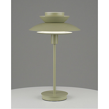 Интерьерная настольная лампа Shaggy V11296-1T