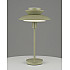 Интерьерная настольная лампа Shaggy V11296-1T