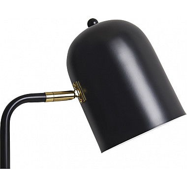 Интерьерная настольная лампа Unique FR5279TL-01B1