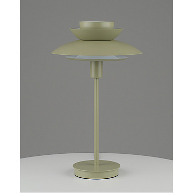 Интерьерная настольная лампа Shaggy V11296-1T