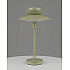 Интерьерная настольная лампа Shaggy V11296-1T