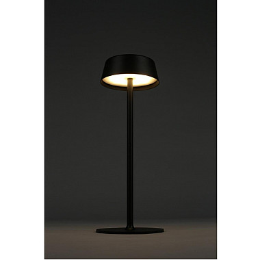 Интерьерная настольная лампа OML-40504-01