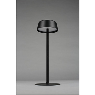 Интерьерная настольная лампа OML-40504-01