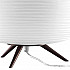Настольная лампа Lightstar Arnia 805913