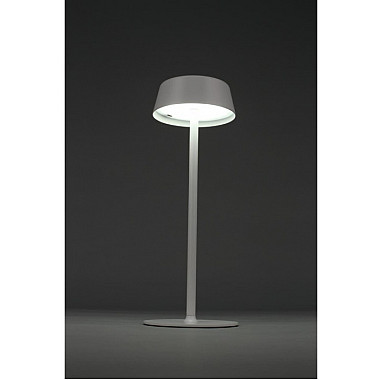 Интерьерная настольная лампа OML-40514-01