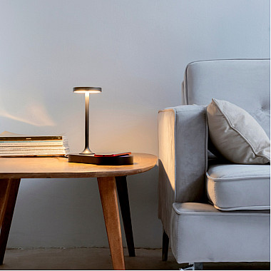 Интерьерная настольная лампа Ceres 7291