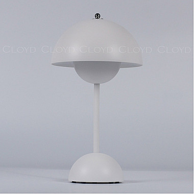 Интерьерная настольная лампа Erma 30135