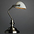 Настольная лампа Arte Lamp Banker A2491LT-1SS