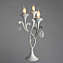 Настольная лампа Arte Lamp Montmartre A3239LT-3WH