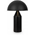 Интерьерная настольная лампа Eleon FR5218TL-02B1