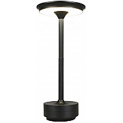 Интерьерная настольная лампа Markel APL.064.24.05