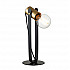 Настольная лампа Indigo Animo 10007/B/1T Black V000179