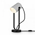 Интерьерная настольная лампа Elori FR4004TL-01WB