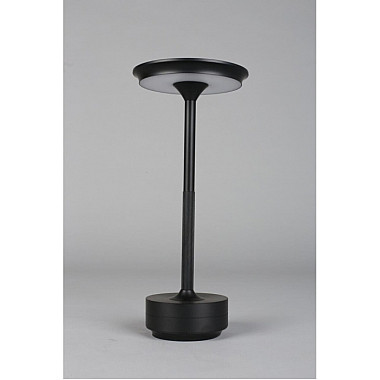 Интерьерная настольная лампа Markel APL.064.24.05