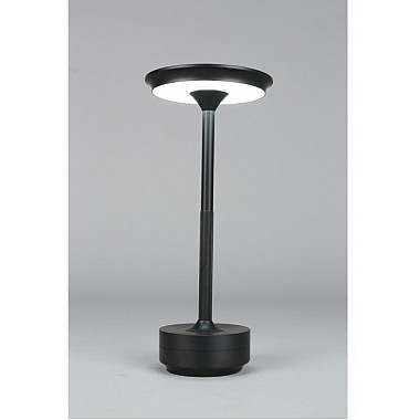 Интерьерная настольная лампа Markel APL.064.24.05