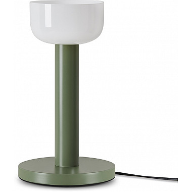 Интерьерная настольная лампа Barries FR6185TL-L5GN