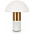 Интерьерная настольная лампа Marfil FR5285TL-01BS