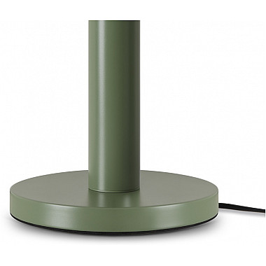 Интерьерная настольная лампа Barries FR6185TL-L5GN