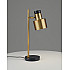 Интерьерная настольная лампа Goldy V11307-1T