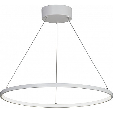 Подвесной светильник V04665-03/1S