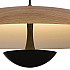 Подвесной светильник Lumien Hall Arta 8007/1PM-WD