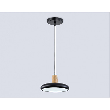 Подвесной светильник COMFORT FL4839