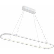 Подвесной светильник COMFORT FL5588