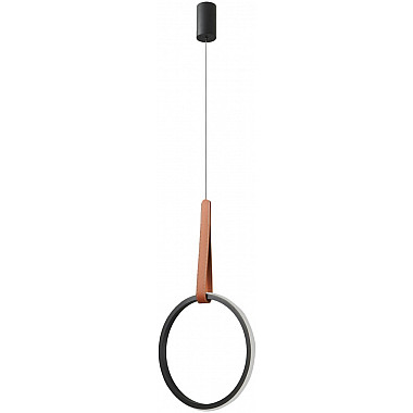 Подвесной светильник Ральф 675015901