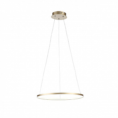Подвесной светодиодный светильник ST Luce Erto SL904.203.01