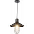 Подвесной светильник LDP 6013 O.SL