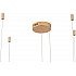 Подвесной светильник Ringolight ZRS.33320.63F