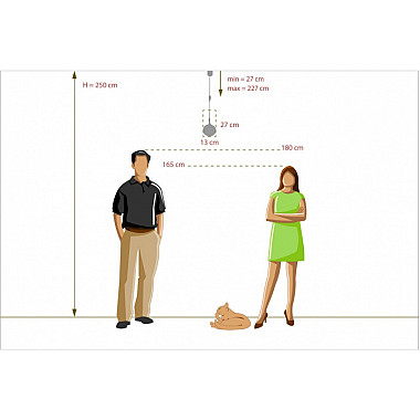 Подвесной светильник Капелия 730010601