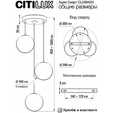 Подвесной светильник Адам Смарт CL228A031