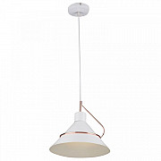 Подвесной светильник Amis FR5025PL-01W