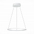 Подвесной светодиодный светильник ST Luce ST603.543.22
