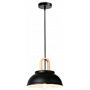 Подвесной светильник TRADITIONAL TR8192