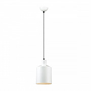 Подвесной светильник Lumion Rigby 3694/1