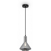 Подвесной светильник Lizia FR8010PL-01GB