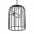Подвесной светильник Loft IT Cell Loft1893A