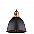 Подвесной светильник Arte Lamp Eurica A4245SP-1BK