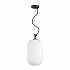 Подвесной светильник Odeon Light Roofi 4751/1