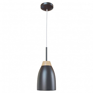 Подвесной светильник Loft IT Restor Loft4402A-Bl