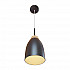 Подвесной светильник Loft IT Restor Loft4402A-Bl